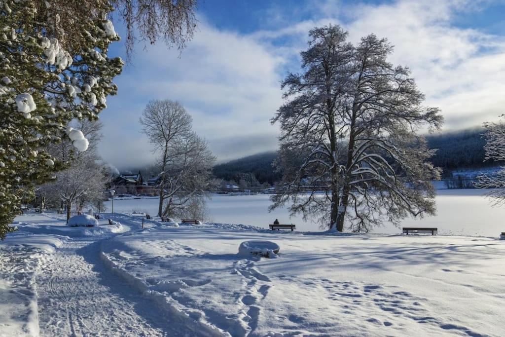Waldblick Titisee Экстерьер фото