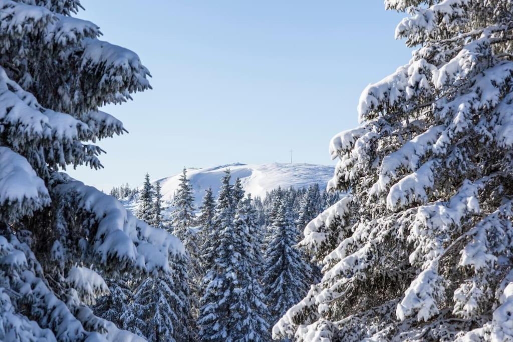 Waldblick Titisee Экстерьер фото