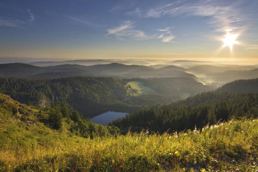 Waldblick Titisee Экстерьер фото