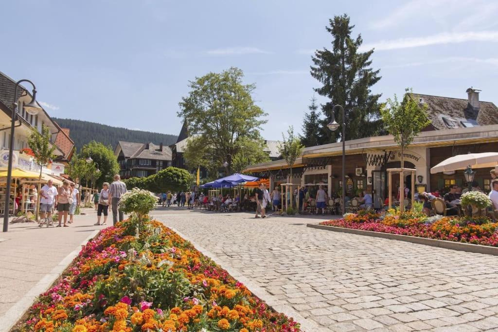 Waldblick Titisee Экстерьер фото